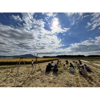 ふるさと納税 茨城県 百笑米の「天の恵」有機栽培ミルキークイーン10kg　〜玄米〜