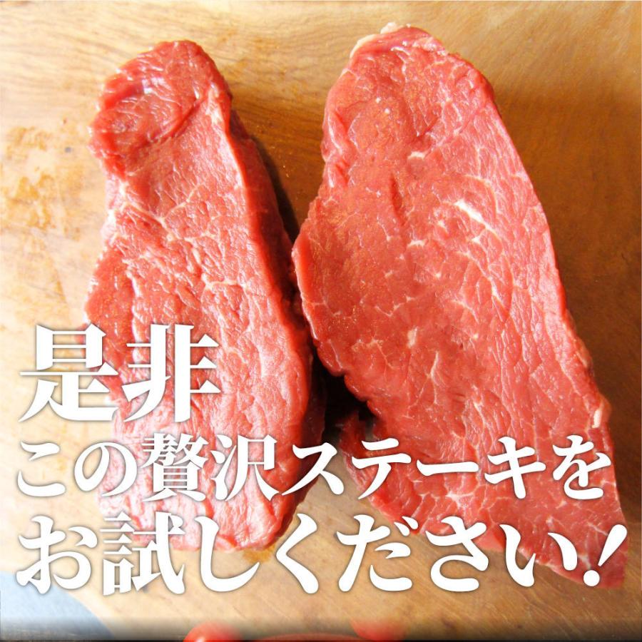 牛肉 ヒレ ステーキ 詰め合わせ 100g×4枚セット 赤身 牛 ヒレ肉 バーベキュー BBQ グルメ お歳暮 ギフト 食品 プレゼント キャンプ キャンプ飯