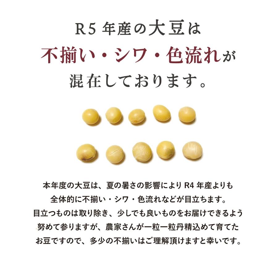 新豆 お値打ち 大豆 900グラム 令和5年収穫 北海道産 とよまさり大豆2.6上