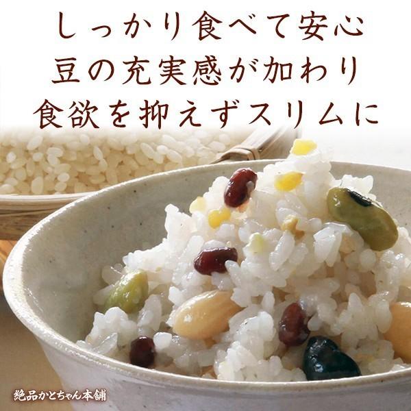 雑穀 雑穀米 糖質制限 ダイエット重視スリムブレンド 2.7kg(450g×6袋) 送料無料 こんにゃく米配合 カロリーカット ダイエット食品 雑穀米本舗