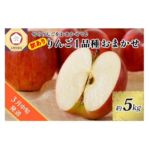 ふるさと納税 青森県 五所川原市   旬の美味しい りんご 約5kg 青森産 