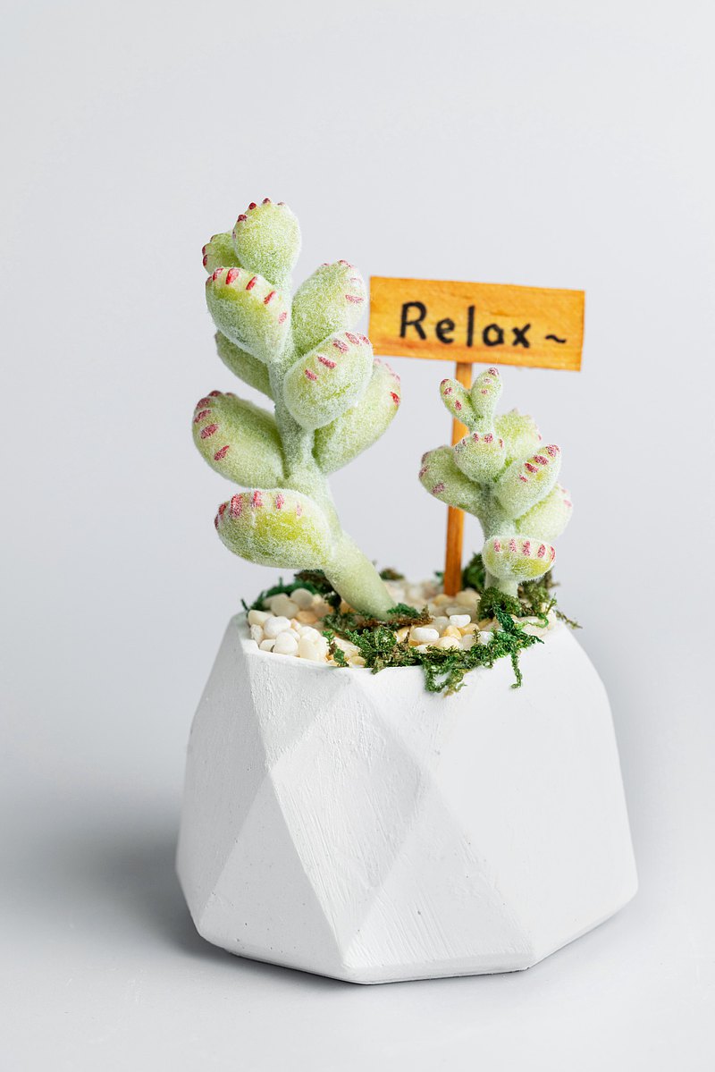 仿真黏土多肉植物擴香盆 熊童子款多面體擴香石膏盆客製木牌推薦 Pinkoi 設計購物網站 Line購物