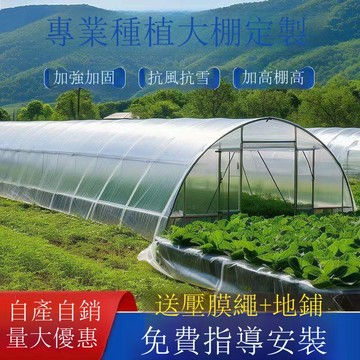免運 公司貨 大棚 種植大棚全套大棚骨架養殖大棚雞棚養豬棚蔬菜大棚花卉棚保溫大棚 可開發票 全館八折 工廠現貨直銷 新品特價 h11224