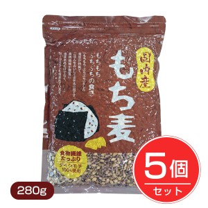 国内産 もち麦 280g×5個セット ベストアメニティ [国産 国産もち麦]