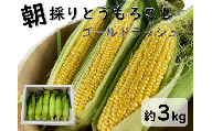 新潟県産とうもろこし（ゴールドラッシュ）　３kg