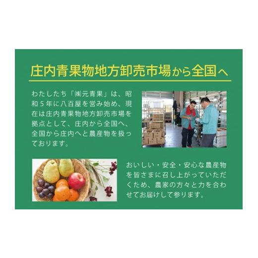 ふるさと納税 山形県 酒田市 SD0095　酒田の実り定期便2024 (アンデスメロン、刈屋梨、庄内柿)