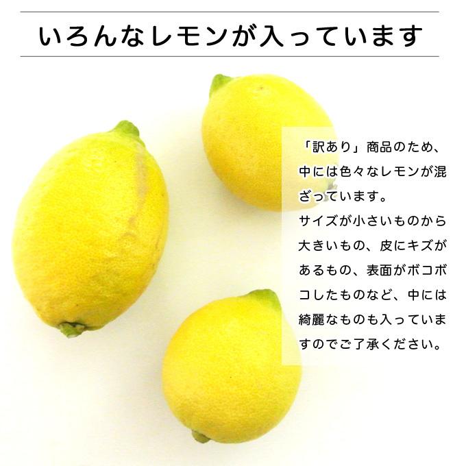 広島県産　徳さんのレモン5kg 国産レモン　送料無料　減農薬 訳あり　防腐剤不使用 ノーワックス 家庭用