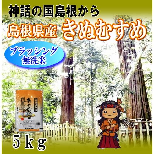 令和5年産　無洗米お米5kg 島根のお米　きぬむすめ