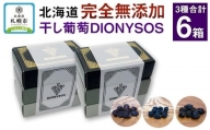 北海道完全無添加干し葡萄　DIONYSOS3種セット×2セット