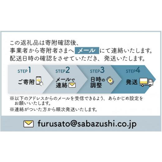 ふるさと納税 福井県 福井市 贅沢すぎる！ご褒美寿司 生さば寿司 ＆ 甘えび寿司 [B-013034]