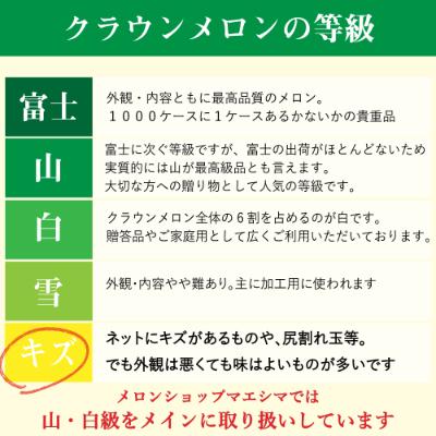 ふるさと納税 袋井市 クラウンメロン ワケありメロン2玉入り