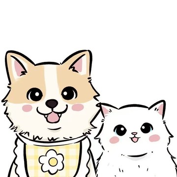 售後服務卡 滿額贈小禮物