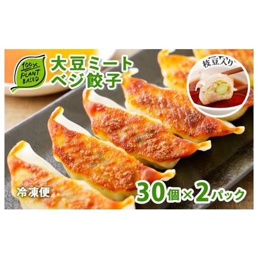 ふるさと納税 大阪府 泉佐野市 大豆ミート ベジ餃子 60個（30個×2パック）