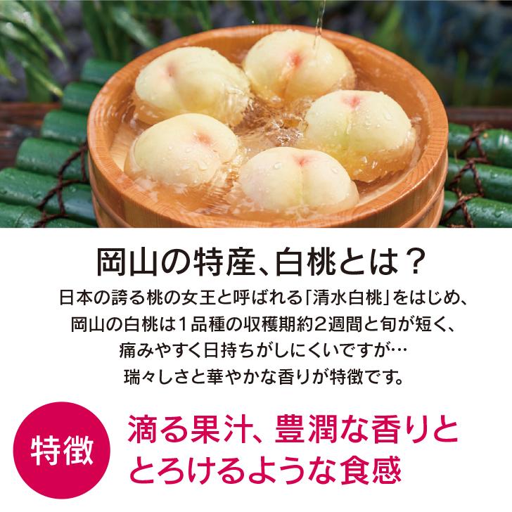 金の桃GIFT おかやま白桃２個セット（KIN NO MOMO）プレゼント 父の日 母の日 敬老の日 お歳暮 お中元 誕生日 ギフトに