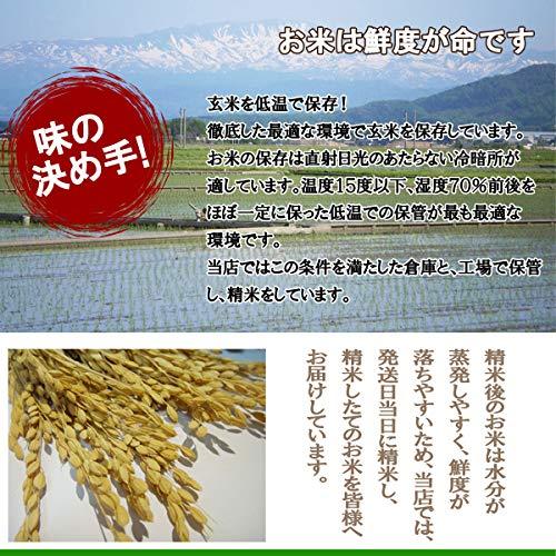 成澤農園 令和5年産 新米 山形県産 特別栽培米 はえぬき 白米 20キロ 5キロ×4