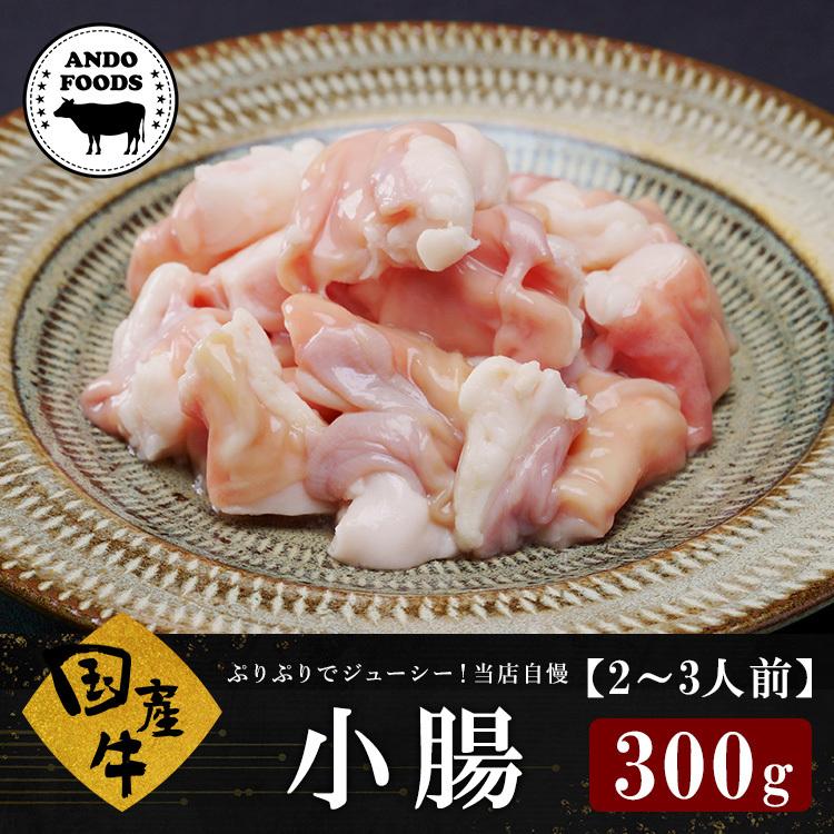 国産牛 小腸 （300g）