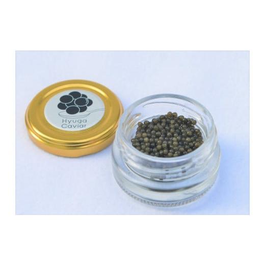 ふるさと納税 宮崎県 日向市 日向キャビア(Hyuga Caviar) 10g(冷凍・フレッシュキャビア) [宮崎キャビア 宮崎県 日向市 452060321]