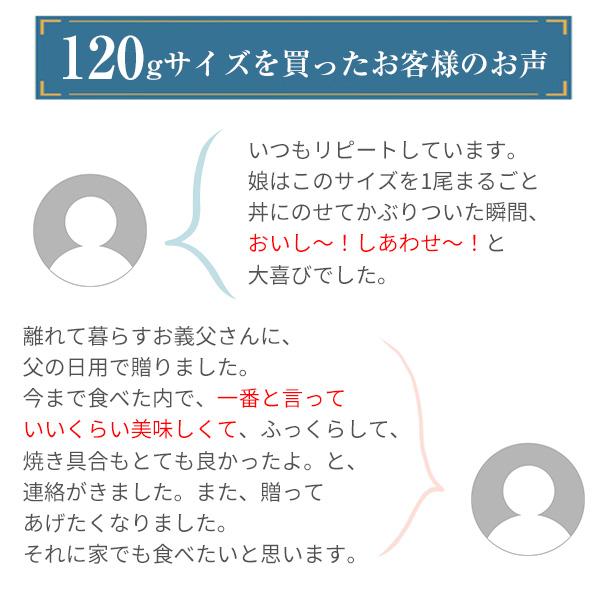 うなぎ 蒲焼き 国産 120g 2尾 ウナギ 鰻 送料無料