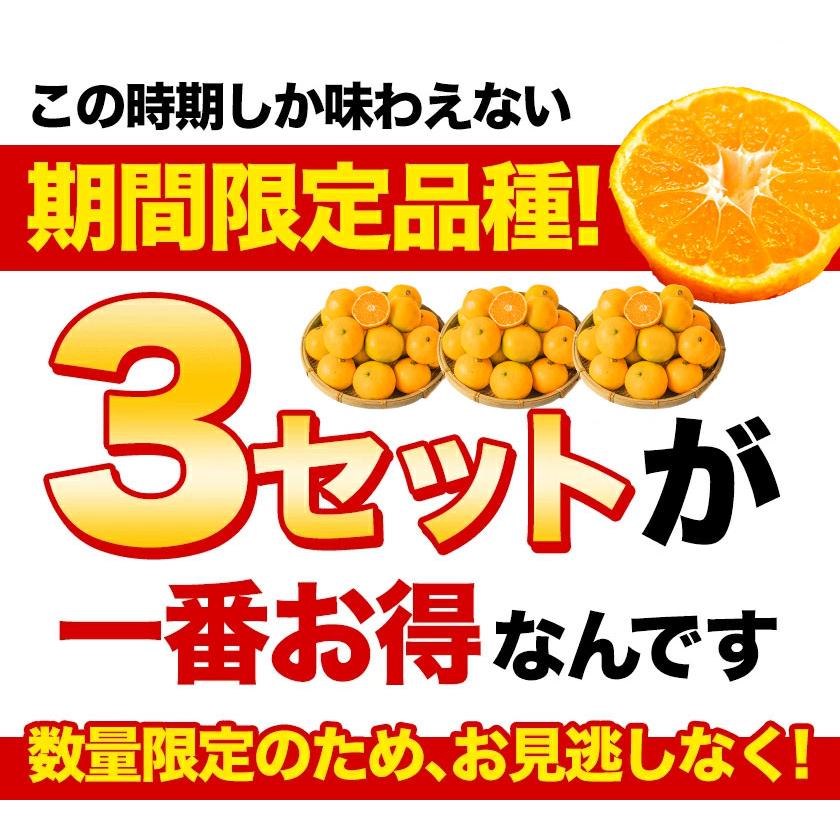 小玉 みかん 訳あり ご家庭用 送料無料 1.5kg 小粒 ミカン 柑橘 熊本 極早生 3s-sサイズ 家庭用 12月上旬〜12月下旬頃より発送予定