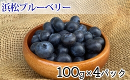 太陽いっぱい大地のジュエリー400g