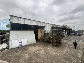 楊梅區員笨段千坪特定農業區農牧用地｜桃園市楊梅區員笨