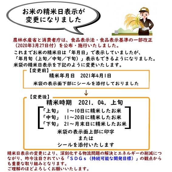 新米 令和5年産 米 お米 5kg こしいぶき 白米 新潟 送料無料 糸魚川 能生米 農家直送  精米 お取り寄せ ギフト