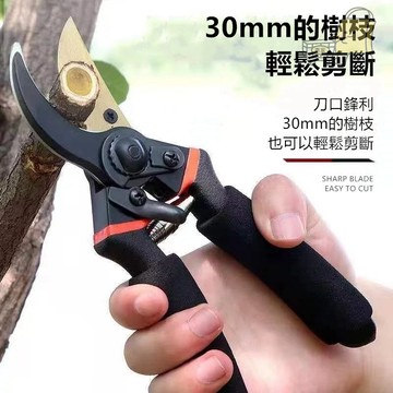 快速出貨🔥SK5 樹枝剪 園藝剪 花剪 園藝剪刀 修枝剪 高枝剪 粗枝剪刀 修花剪刀 果樹剪 花藝剪刀 園藝工具