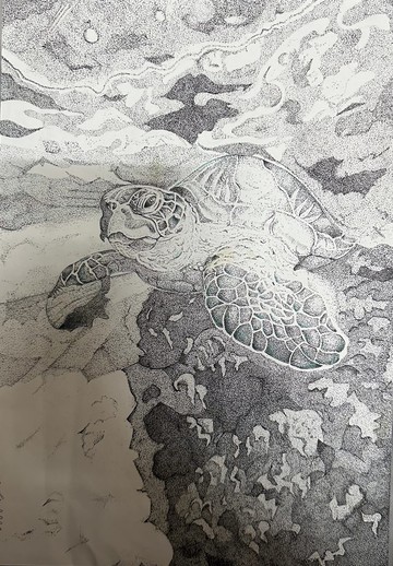 Ocean Wanderer Original   海龜 原創手繪原稿