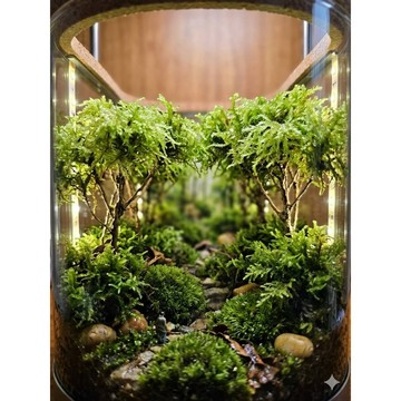 苔鑽🍀❗️買4送4❗️樹灰科苔蘚 微景觀 苔蘚生態造景 半水景生態缸 苔蘚 青苔 微景觀造景 DIY 生態瓶造景