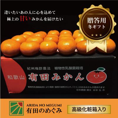 ふるさと納税 有田川町 甘い 有田みかん10kg　栽培期間中、低農薬