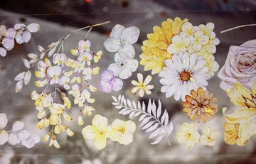 小黃花 癒しカラーの花たち PET 和紙膠帶 貝殼光 10米卷