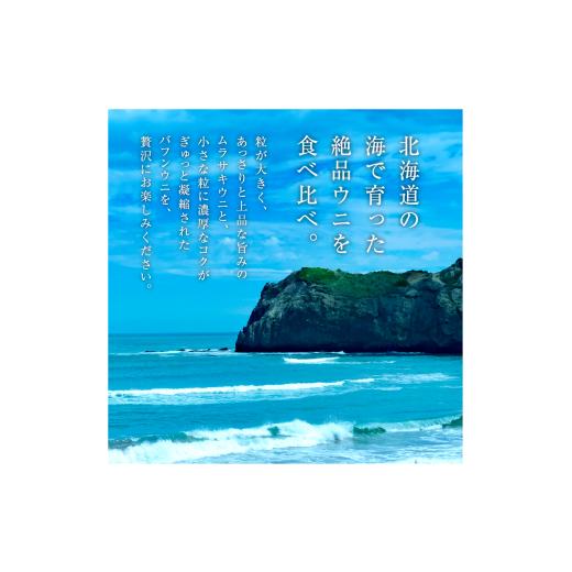 ふるさと納税 北海道 余市町 ≪贈り物≫ 幸福雲丹160gセット(ムラサキ80g・バフン80g　北海道産)