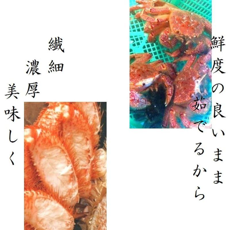 前田水産毛蟹 1尾（約450g前後サイズ） 北海道産 付け足 ボイル済み 冷凍 天然無添加 毛ガニ けがに 毛がに 蟹 かに 道産品 お歳暮