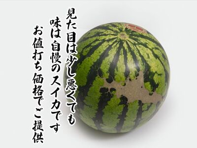 青森県鰺ヶ沢町産 工藤さんが作ったスイカ 2玉 約7～8kg 品種おまかせ（羅皇、金色羅皇、羅皇 ザ・スウィート、羅皇ロング、ブラックジャック）