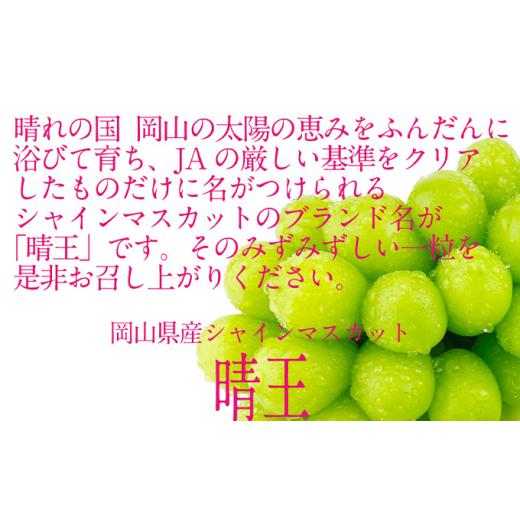 ふるさと納税 岡山県 瀬戸内市 ぶどう 2024年 先行予約 シャイン マスカット 晴王 2房（合計約1.1kg） ブドウ 葡萄  岡山県産 国産 フルーツ 果物 ギフト[No.5…