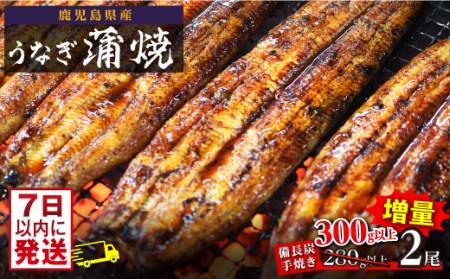 うなぎ備長炭手焼蒲焼２尾(合計300g以上）