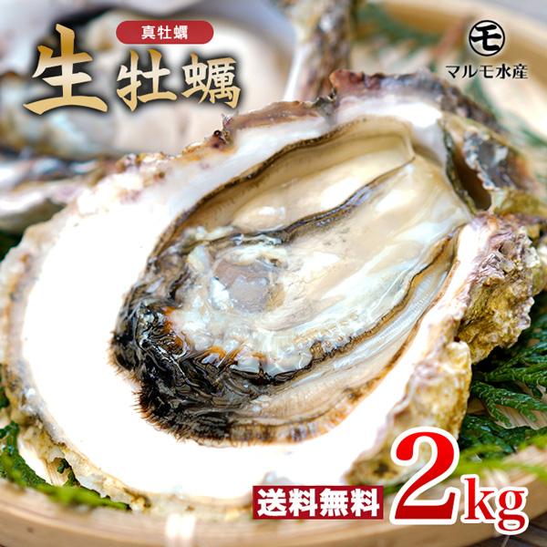 ★九十九島かき★殻付き真牡蠣(生食用) 2kg 九十九島産 開け方ガイド付きマルモ水産