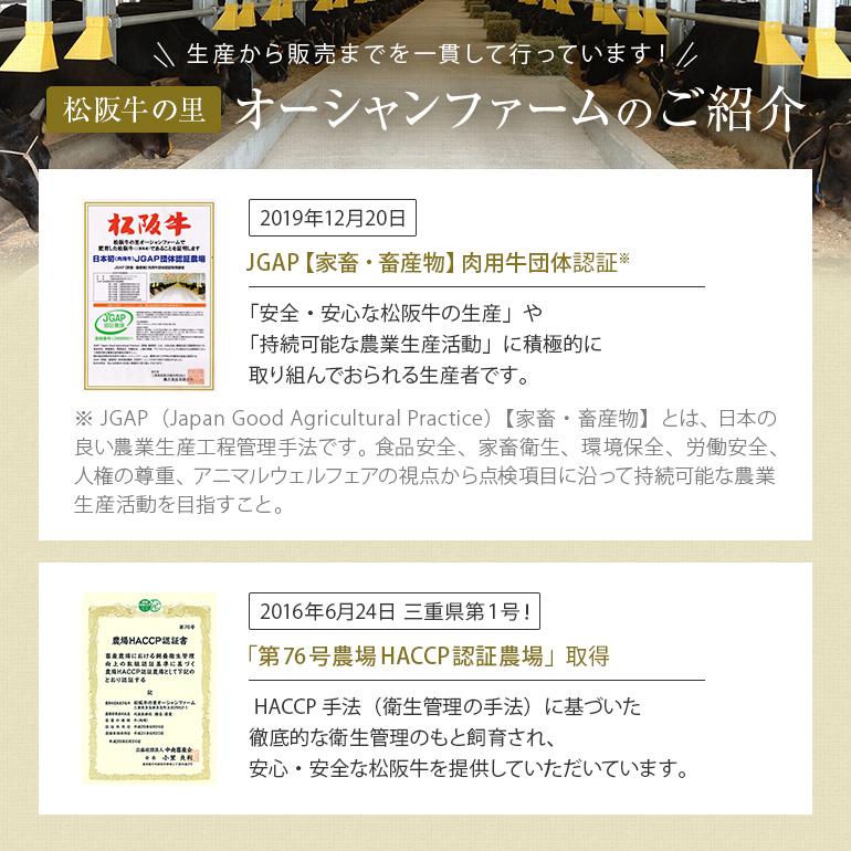 松阪牛 すじ 500g 送料無料 肉 牛すじ すじ肉 牛 お取り寄せ お取り寄せグルメ カレー シチュー 黒毛和牛 国産牛 国産牛肉 国産 取り寄せ グルメ 母の日