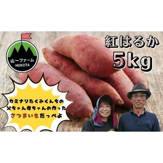 ふるさと納税 茨城県 鉾田市 紅はるか（5kg入り）1箱