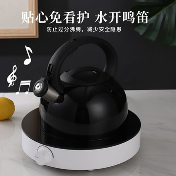 🔶台灣發貨🔶304野外茶壺蓋帽防爆旅行家用不銹鋼平底鳴音燒水壺電磁爐煤氣爐