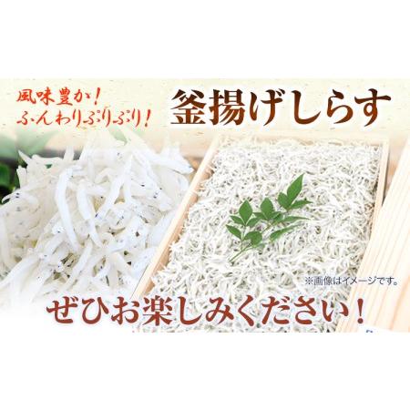 ふるさと納税 釜揚げしらす900g（木箱) 大五水産 《30日以内に順次出荷(土日祝除く)》 和歌山県 紀の川市 しらす 釜揚げしらす 和歌山県紀の川市