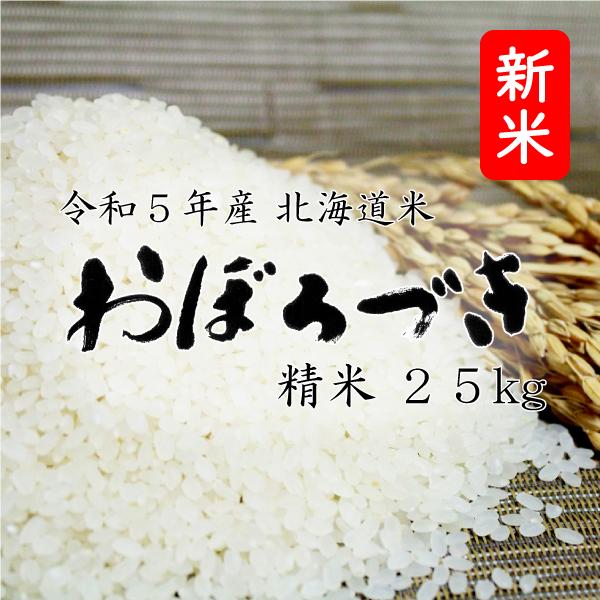 新米 米25kg お米 北海道米 おぼろづき 25kg 5kg×5 令和５年産 送料無料