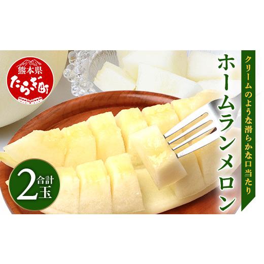 ふるさと納税 熊本県 多良木町 熊本県産 ホームランメロン 2玉 約3kg 【 令和6年 ご予約 メロン フルーツ 果物 熊本 多…