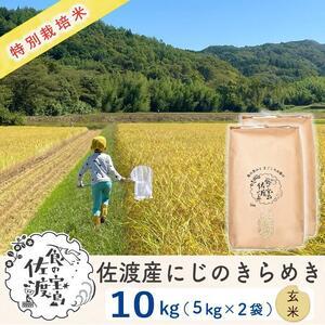 ふるさと納税 佐渡島産 にじのきらめき 玄米10kg(5Kg×2袋） 特別栽培米  新潟県佐渡市