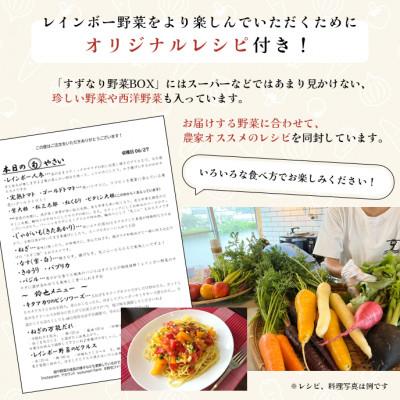 ふるさと納税 横須賀市 すずなり採れたて野菜BOX(お試し) 60サイズ