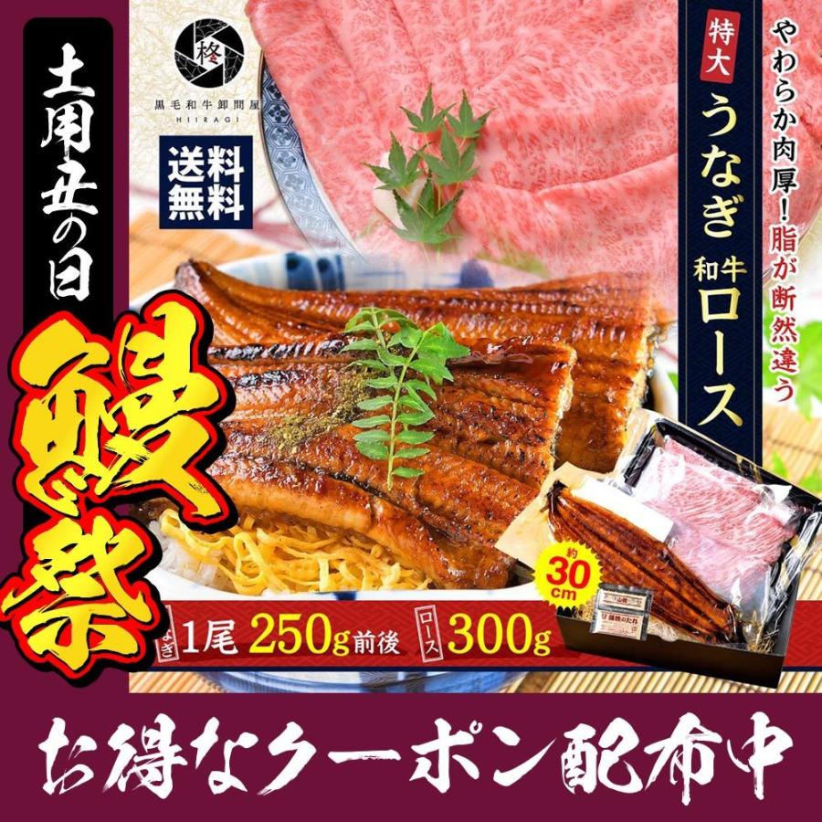 和牛 鰻 セット特大 うなぎ 蒲焼き 1尾と 黒毛和牛 ローススライス 300g 冷凍食品