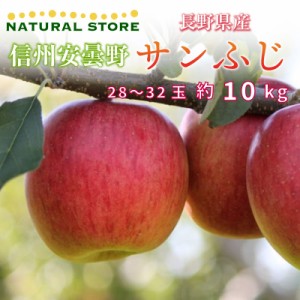 [予約 2023年11月1日-11月30日の納品] サンふじ 28-32玉 大玉 約 10kg りんご 長野県産 安曇野 サンフジ 果実専用箱 冬ギフト お歳暮 御