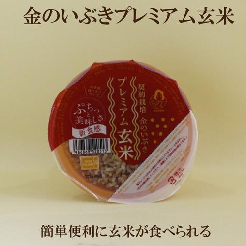 24個セット　金のいぶき プレミアム玄米 ごはん120ｇ×24 玄米レトルト 玄米ごはんパック 幸南食糧