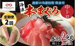 刺身用！本マグロ 中トロ（柵どり）1kg × 2回 [H-11005]