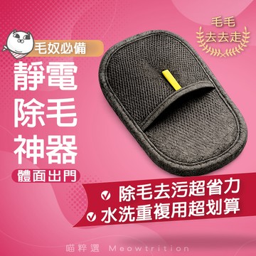 寵物除毛刷 靜電除毛手套 黏毛刷 貓毛狗毛清潔刷 沙發衣服除毛器 可水洗重複使用 去毛  去毛神器 居家清潔用品